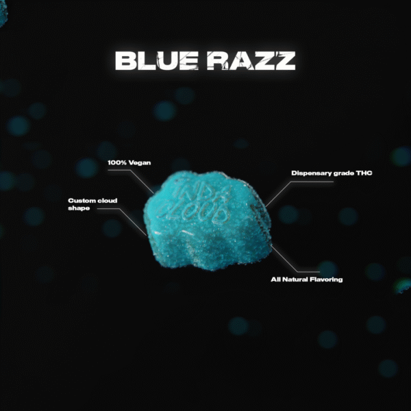 Blue Razz Delta 8 Vegan Gummies 500MG - Image 4