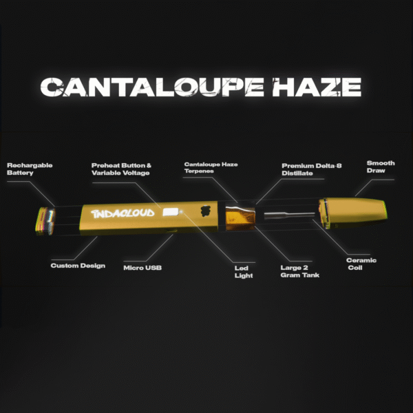 Cantaloupe Haze Delta 8 Disposable Vape Pen 2 Grams - Image 4