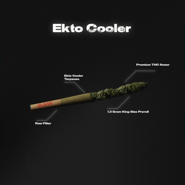Ekto Kooler King Size THCA Pre-Rolls 2 x 1.3 Gram Joints - Image 4