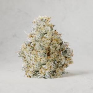 Gary Payton IC Exotics Series THCa Flower 1 Ounce