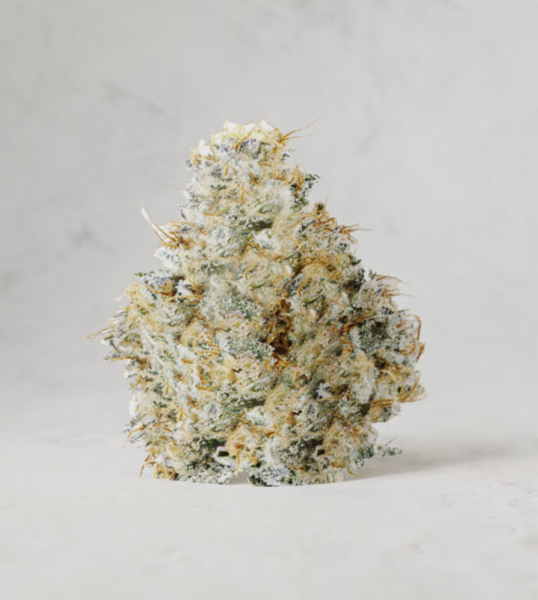 Gary Payton IC Exotics Series THCa Flower - Image 2
