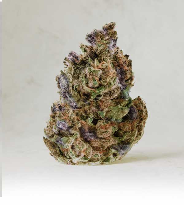 Granddaddy Purp IC Exotics Series THCa Flower 1 Ounce