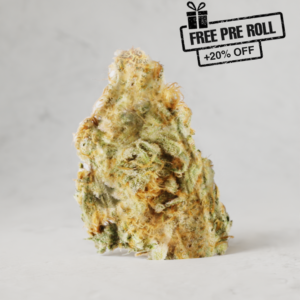 Ice Cream Cookies IC Exotics Series THCa Flower (offer)