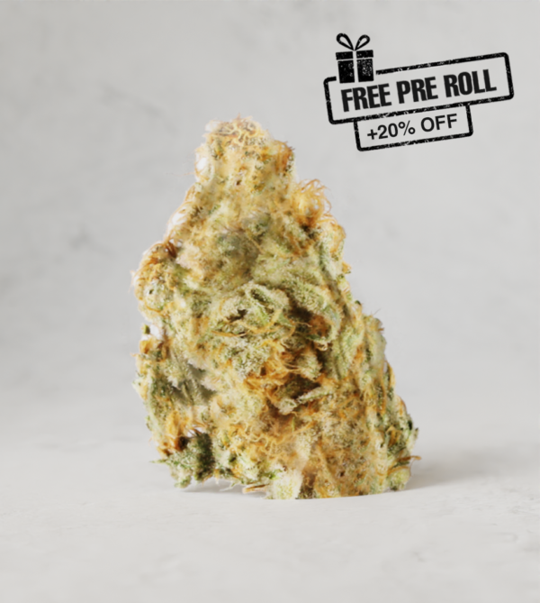 Ice Cream Cookies IC Exotics Series THCa Flower (offer)
