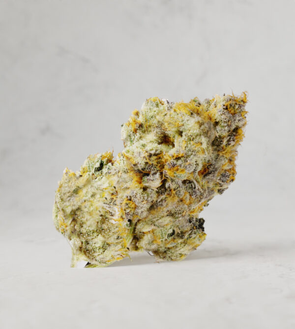 Lemon Cherry Gelato Gold Edition THCa Flower 1 Ounce